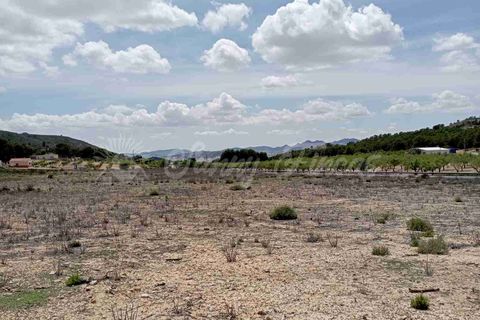 Helårsgrund i Yecla, Murcia, Yecla - € 25.000 | Ref: SF0457 - foto 12